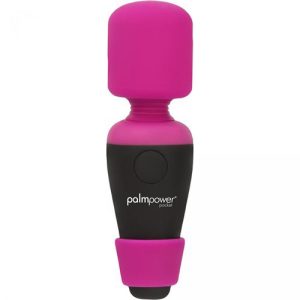 Bolsillo PalmPower