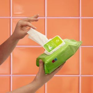 EasyGlide Toallitas de limpieza para juguetes - 100 toallitas