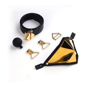 LOCKINK - Set de Mordaza Bozal Punker Dorado