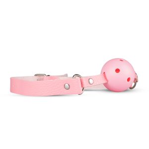 Pink Pleasure - Secret Pleasure Chest