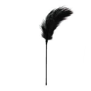 Pluma estimuladora negra